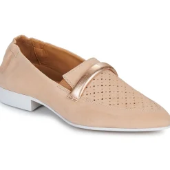 Best Casta - QANVA Camel