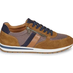 Casual Attitude - BILANE