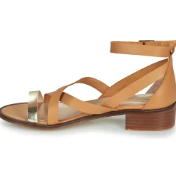 Casual Attitude - COUTIL