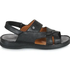 Casual Attitude - IPOLAME