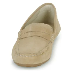 Casual Attitude - ISAWA