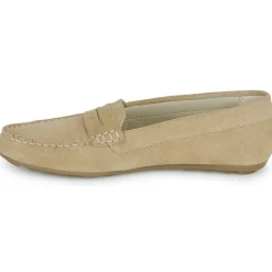 Casual Attitude - ISAWA