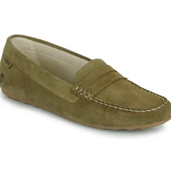 Casual Attitude - ISAWA Kaki Outlet