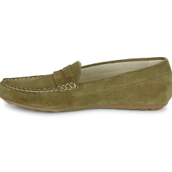 Casual Attitude - ISAWA Kaki Outlet