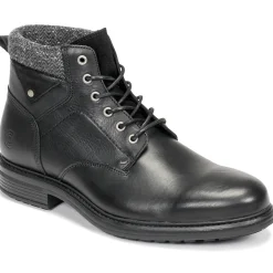 Casual Attitude - NAPILLON