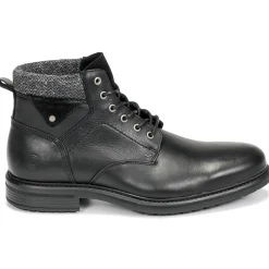 Casual Attitude - NAPILLON