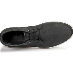 Casual Attitude - OLEO Noir