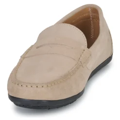 Casual Attitude - VELMO Beige New