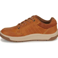 Caterpillar - APA CUSH