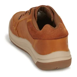 Caterpillar - APA CUSH