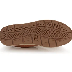 Caterpillar - APA CUSH