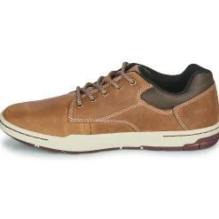 Caterpillar - COLFAX