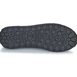 Hot Caterpillar - HEX + CANVAS Noir