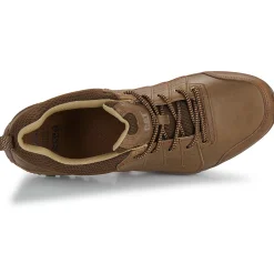 Outlet Caterpillar - INSTRUCT Marron