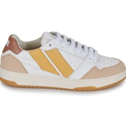 Caval - BROWN SAHARA