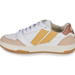 Caval - BROWN SAHARA