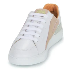 Caval - OG SLASH Online