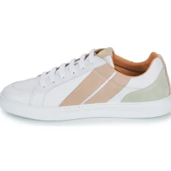 Caval - OG SLASH Online