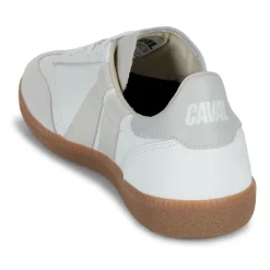 Caval - PULSE Outlet