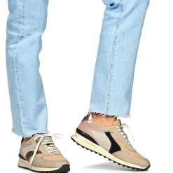 Discount Caval - WAVES