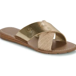 Chattawak - BRANA Clearance