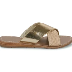 Chattawak - BRANA Clearance