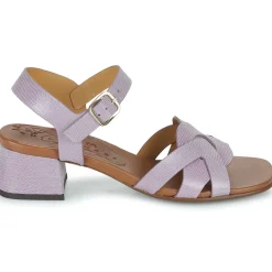 New Chie Mihara - QUAURA Violet