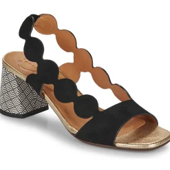 Chie Mihara - ROKA Outlet