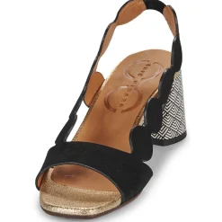 Chie Mihara - ROKA Outlet