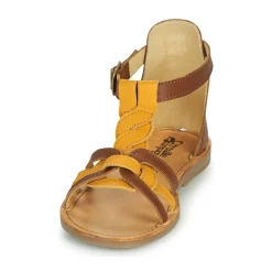 Citrouille et Compagnie - GITANOLO