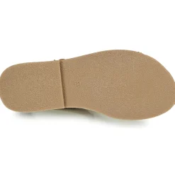 Citrouille et Compagnie - GITANOLO