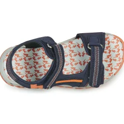 Citrouille et Compagnie - WAYO Marine Outlet