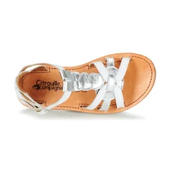 Citrouille et Compagnie - GITANOLO