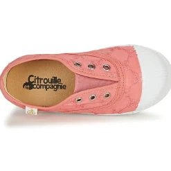 Citrouille et Compagnie - RIVIALELLE