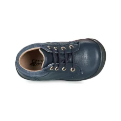 Citrouille et Compagnie - RATON.C