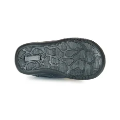 Citrouille et Compagnie - RATON.C