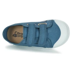 Sale Citrouille et Compagnie - GLASSIA Bleu