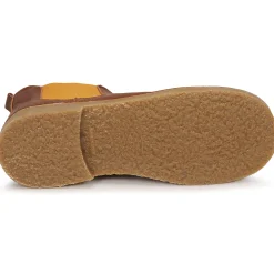 Citrouille et Compagnie - BONJOUR Cognac Discount