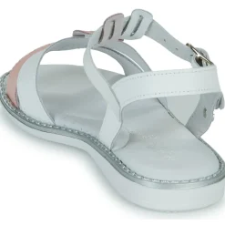 Citrouille et Compagnie - FILAPON