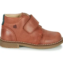 Citrouille et Compagnie - LAPUPI