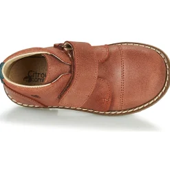 Citrouille et Compagnie - LAPUPI