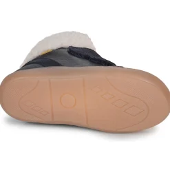 Citrouille et Compagnie - NEBULI Marine Discount