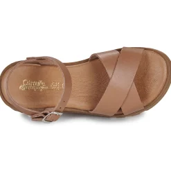 Citrouille et Compagnie - LILY Camel