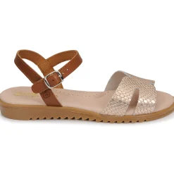 Hot Citrouille et Compagnie - POLPETTE Camel