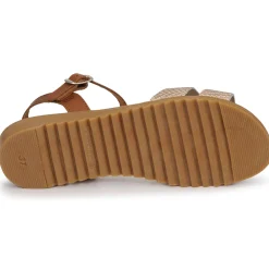 Hot Citrouille et Compagnie - POLPETTE Camel