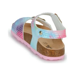 Citrouille et Compagnie - ARCENCIEL