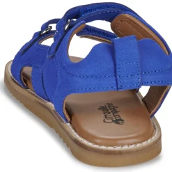 Citrouille et Compagnie - JOUPI