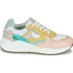 New Citrouille et Compagnie - NUMANJI