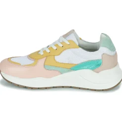 New Citrouille et Compagnie - NUMANJI