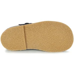 Citrouille et Compagnie - GLARCO